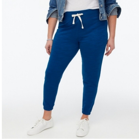 J Crew Women's Cotton Terry Jogger Pant Blue 💙 Size Small - Picture 2 of 10